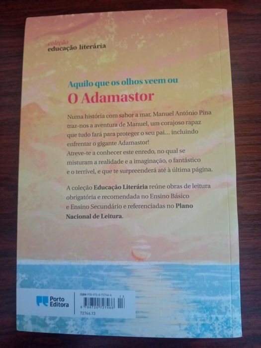 Aquilo que os olhos não veem ou O Adamastor