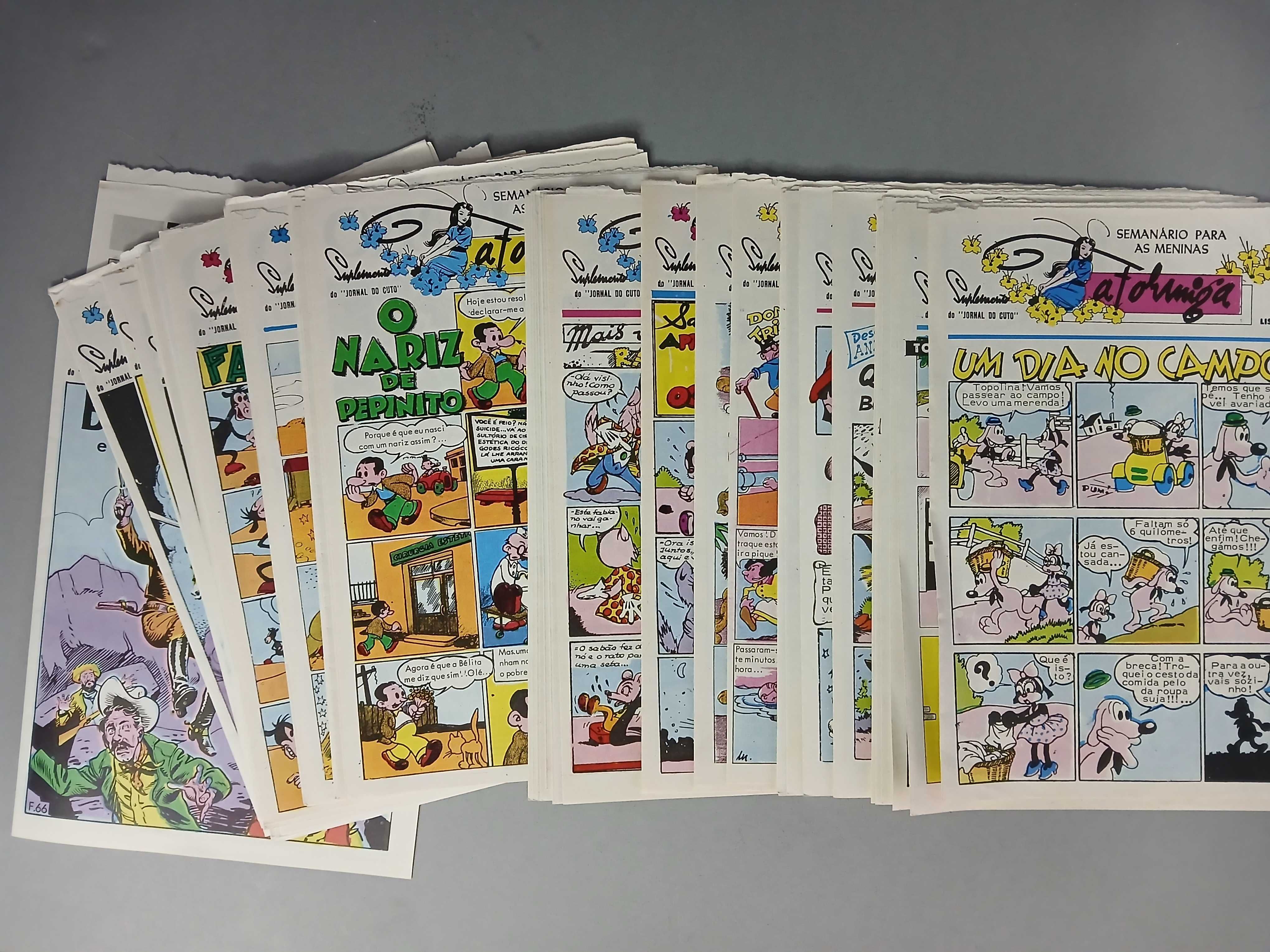 a formiga semanário para as meninas suplemento do jornal do cuto