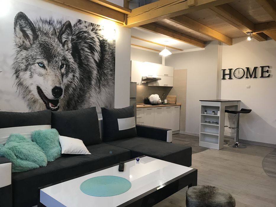 Sylwester Apartamenty Rajcza Centrum 15 osób Beskidy nocleg