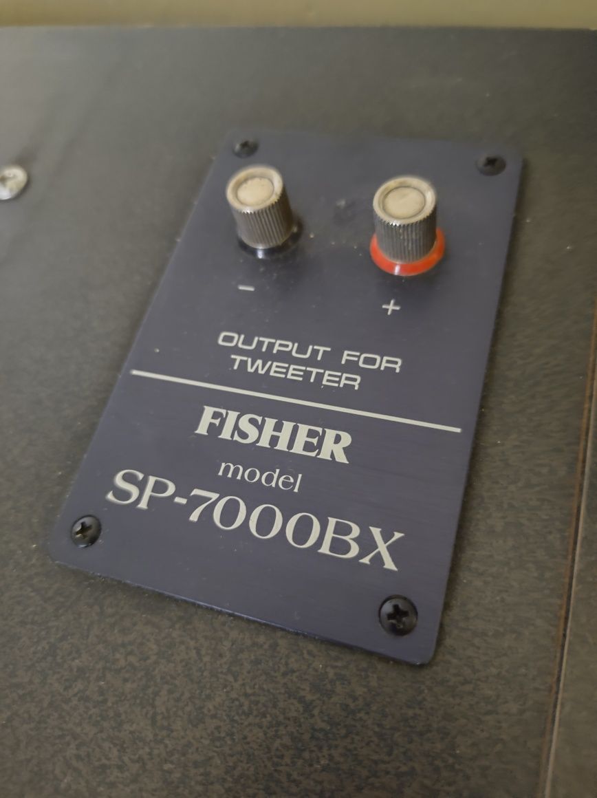 Fisher SP-7000BX Głośniki 30cm