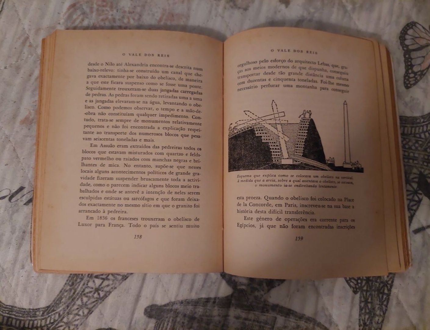 Livro "O Vale dos Reis"