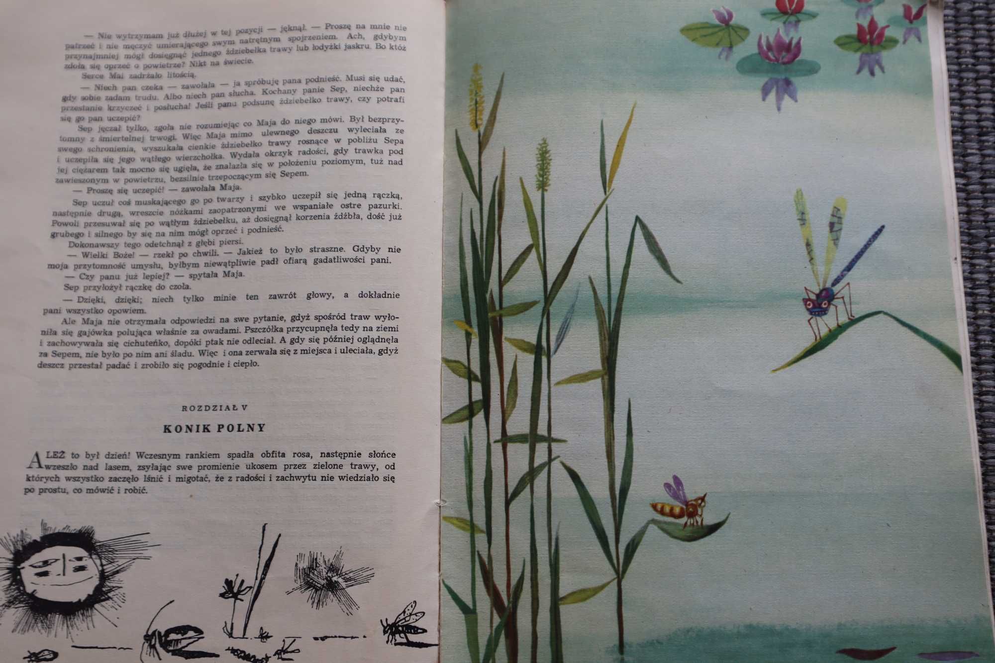 Pszczółka Maja i jej przygody Bonsels Waldemar WYDANIE 1 1961 R