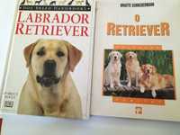 O Labrador Retriever e o Retriever