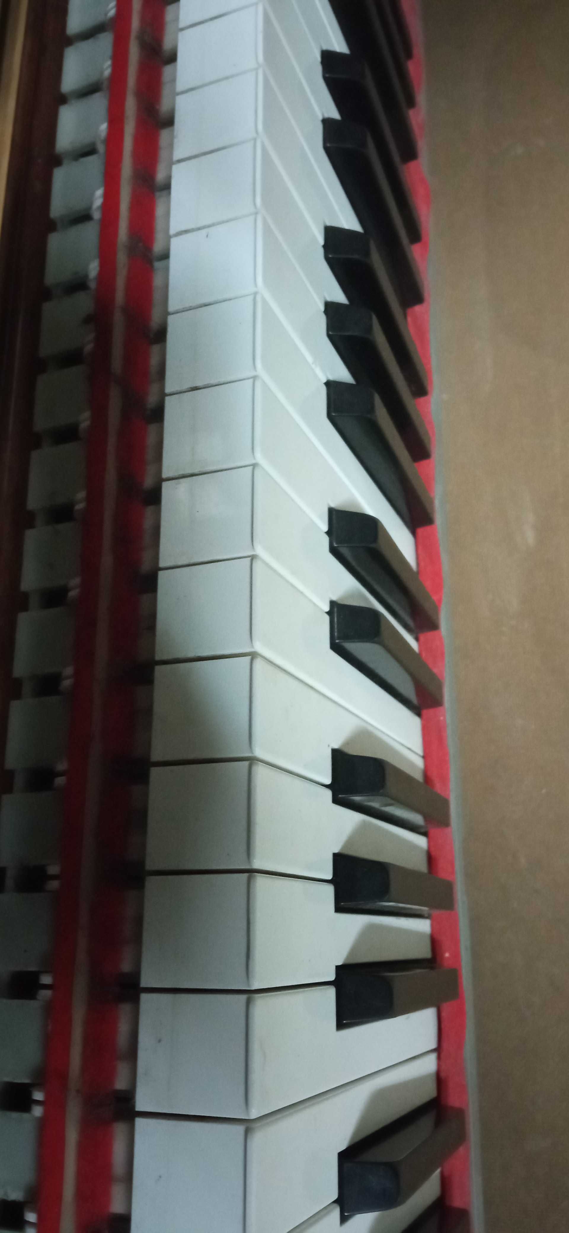 Клавиатуры Casio AP, PX S, Yamaha CVP, CLP, Piano nova.