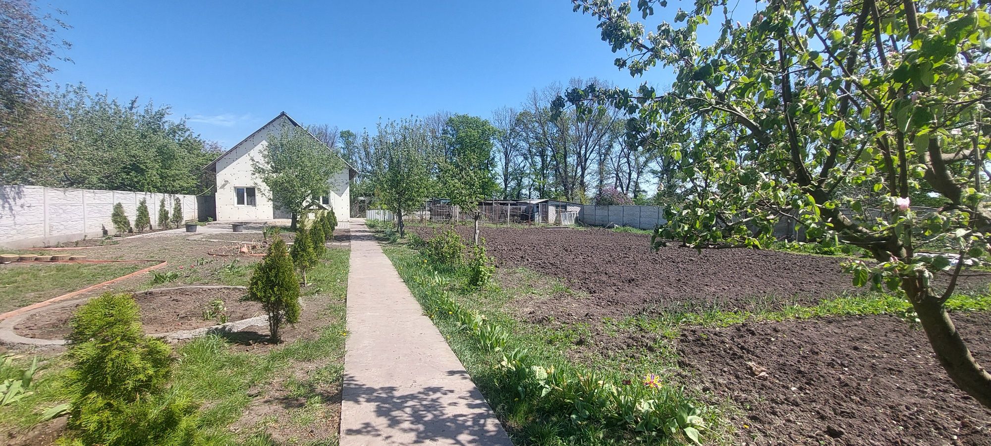 Продам дом в Солоницевском Отг (п.Ольшаны)