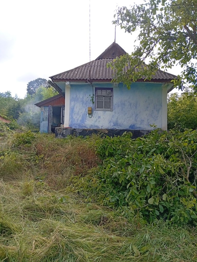 Продається будинок в селі Озаринці.