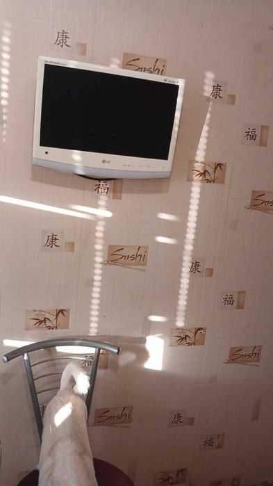 ОРЕНДА 2 кімнатної квартири