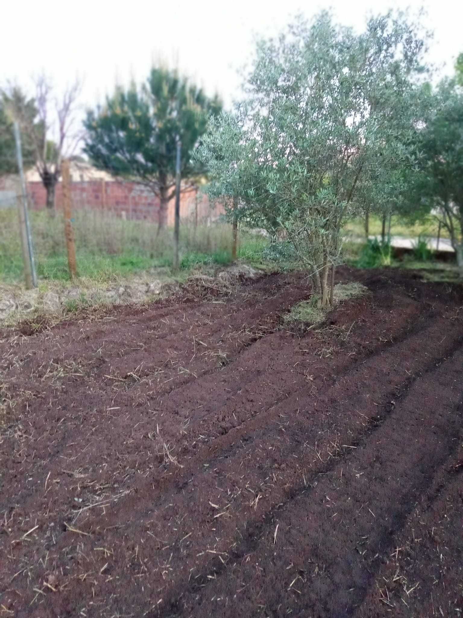 Limpeza de terrenos agrícolas florestais hortícolas jardins aceiros.