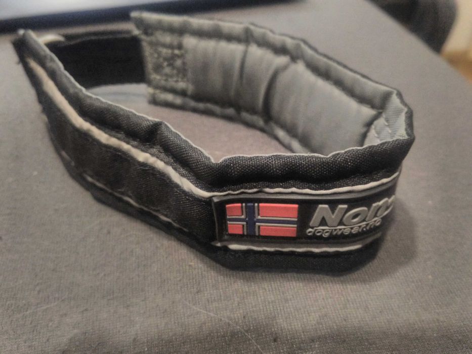 Non stop dogwear obroża półzaciskowa