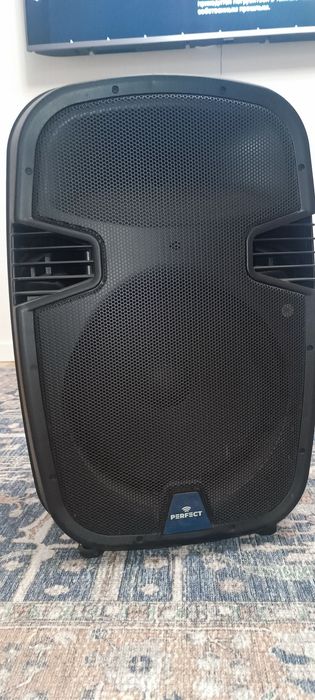 Акустична система PA-12MUB PERFECT