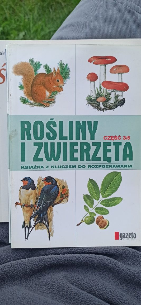 Książki "rośliny i zwierzęta" z kluczem