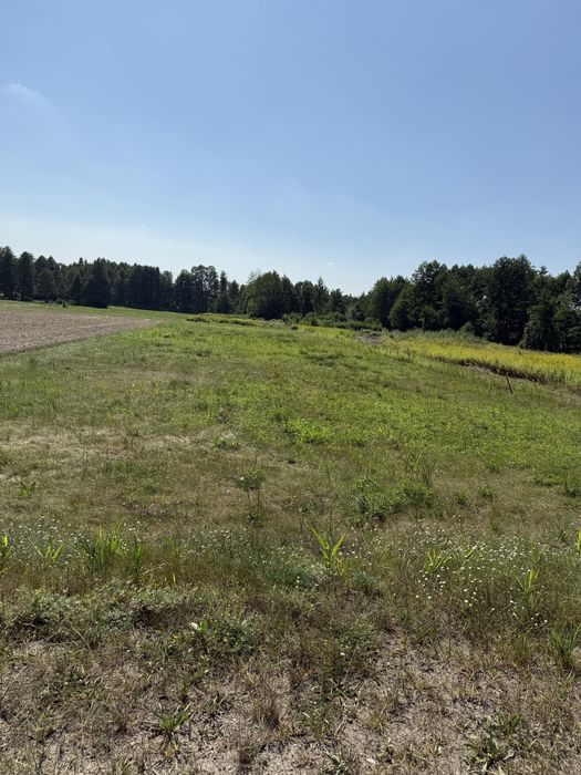 Działka rolna 0,68 ha – Szczepanek, gmina Tłuszcz, powiat wołomiński