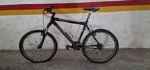Bicicleta adulto