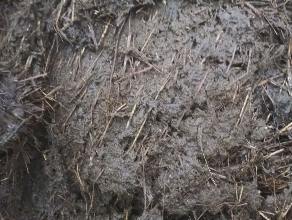 Obornik bydlęcy krowi dostawy 25 ton