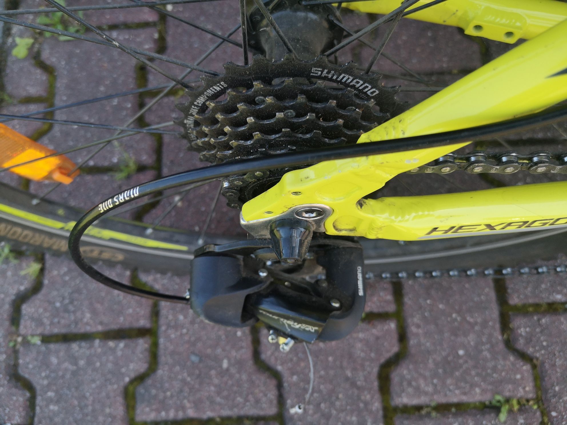 Rower Kross hexagon X1