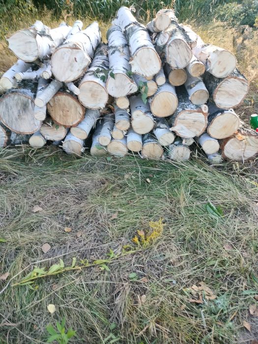 Zrębka leśna wieksza ilość oraz drzewo opałowe brzoza