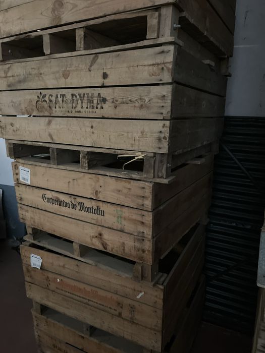 Palots bons de madeira rija