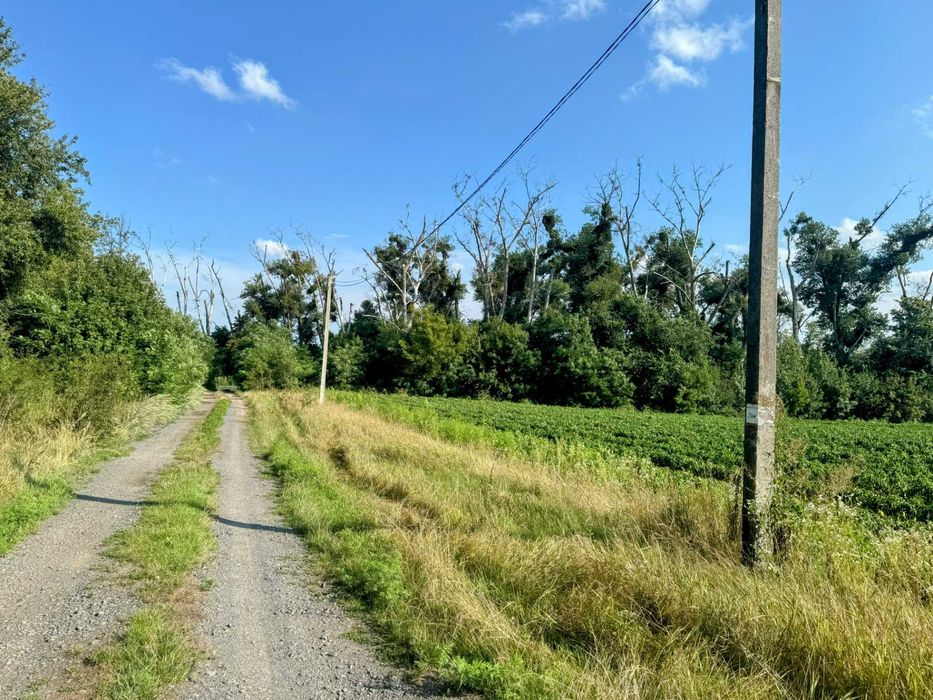 Продаж земельної ділянки 10 сот, с. Ясногородка