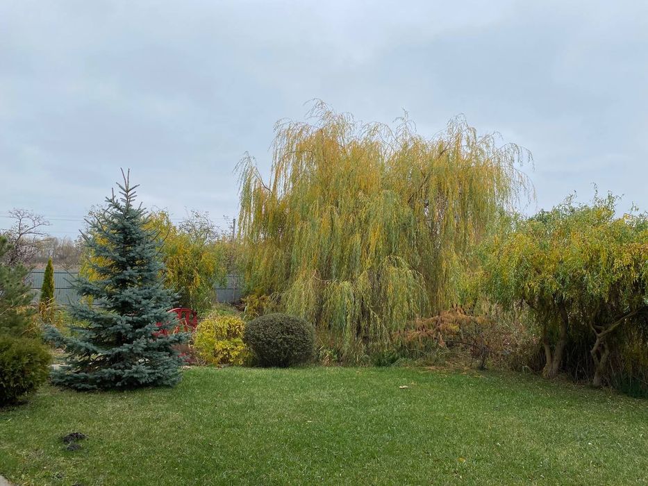 Будинок 219 м² с. Требухов с.т Переможець,