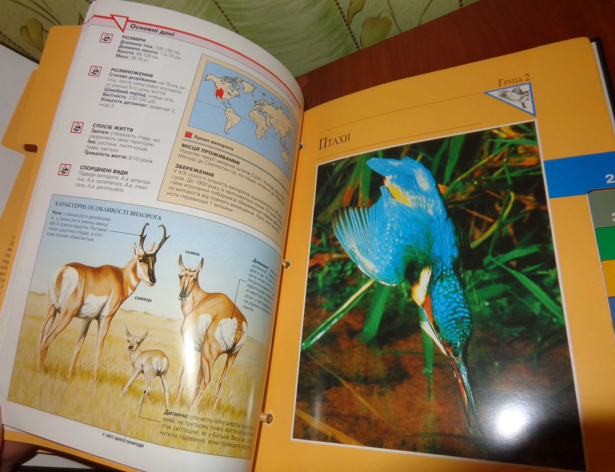 енциклопедия у Світі дикої природи