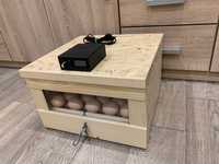 Inkubator klujnik 40 jaj matki pszczele