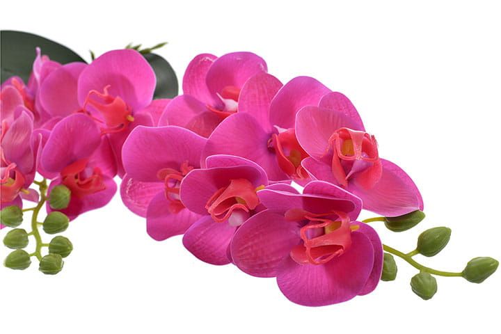 Storczyk orchidea gałązka dekoracja kwiat ozdoba