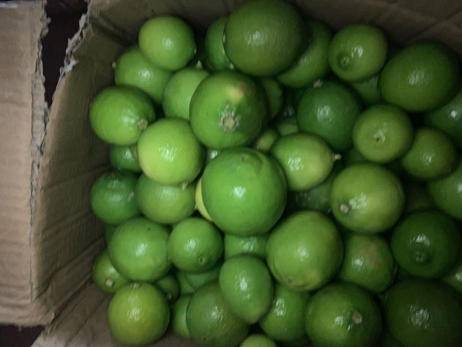 Vende Limas Biologicas