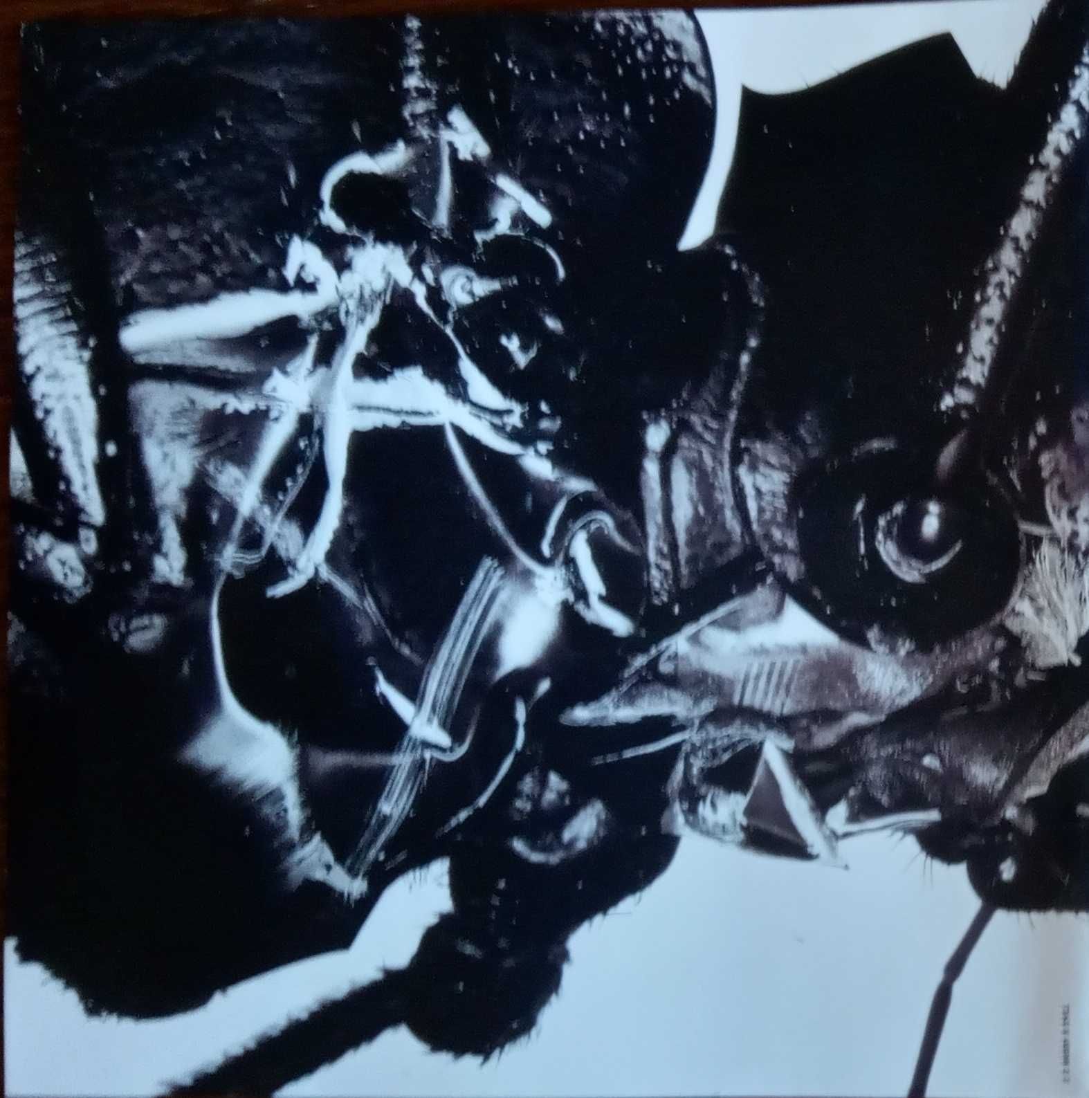 Massive Attack - - - - - Mezzanine - - - - - CD