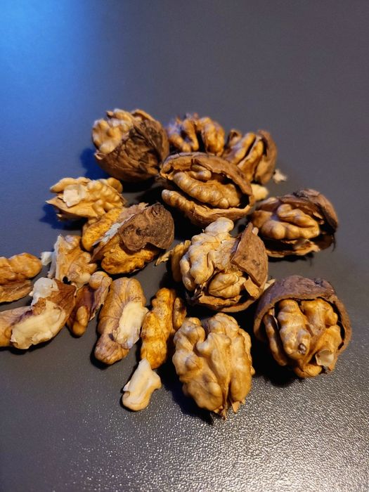 Orzechy włoskie niełuskane