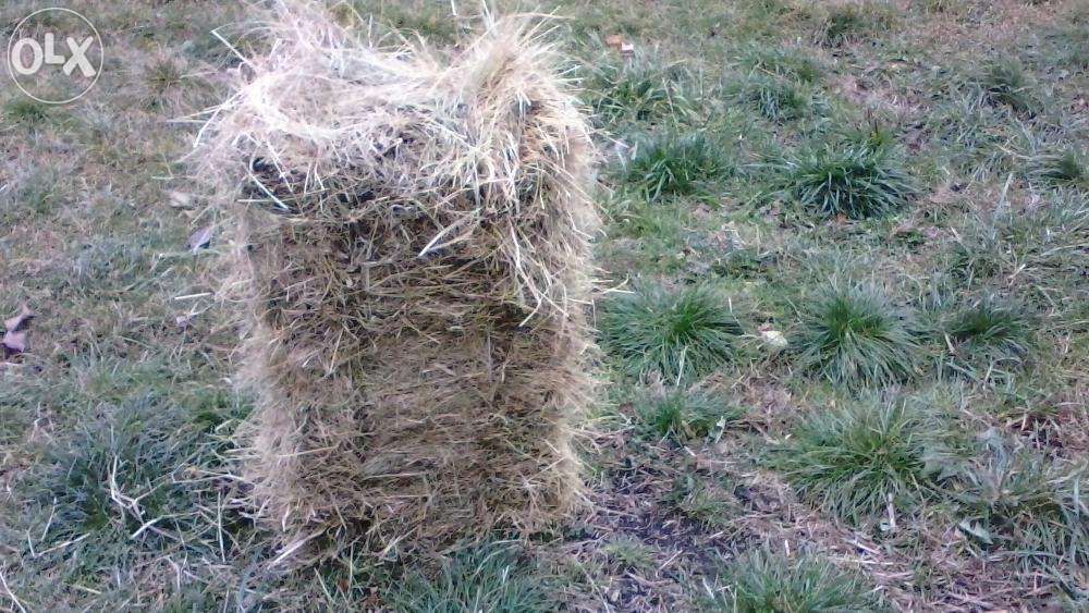 Продам Сіно в тюках