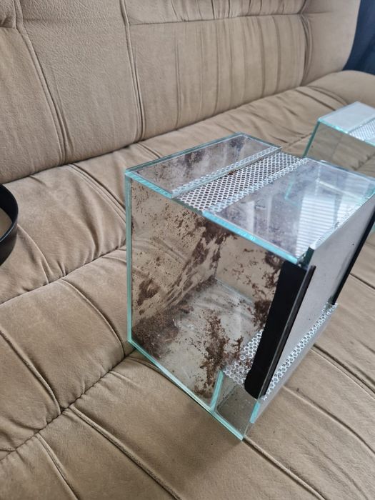 Terrarium 15x15x20