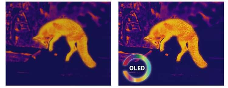 PIXFRA PEGASUS PFI-P450 Luneta termowizyjna celownik termowizyjny Wawa