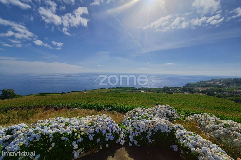 Terreno Rústico de elevado potencial na freguesia das Feteiras