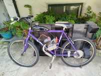 Bicicleta a motor(Bina)