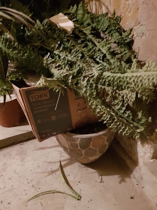 Sztuczne Kwiaty drzewka