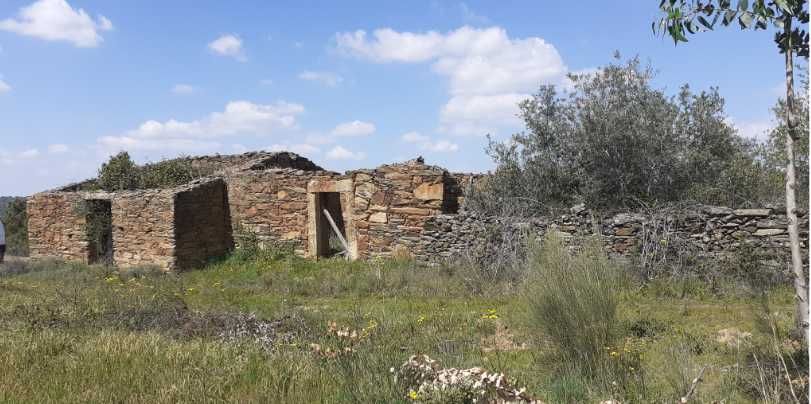 Propriedade Barro do Cocharro sito ao Compasso