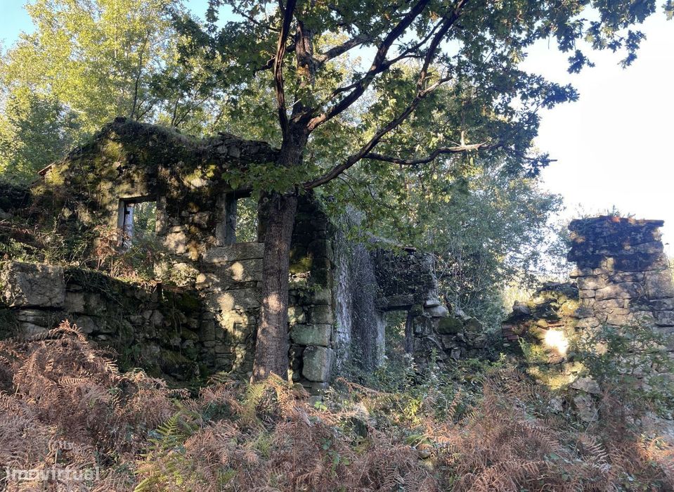 Fantástica Quinta situada entre na Vila de Avô