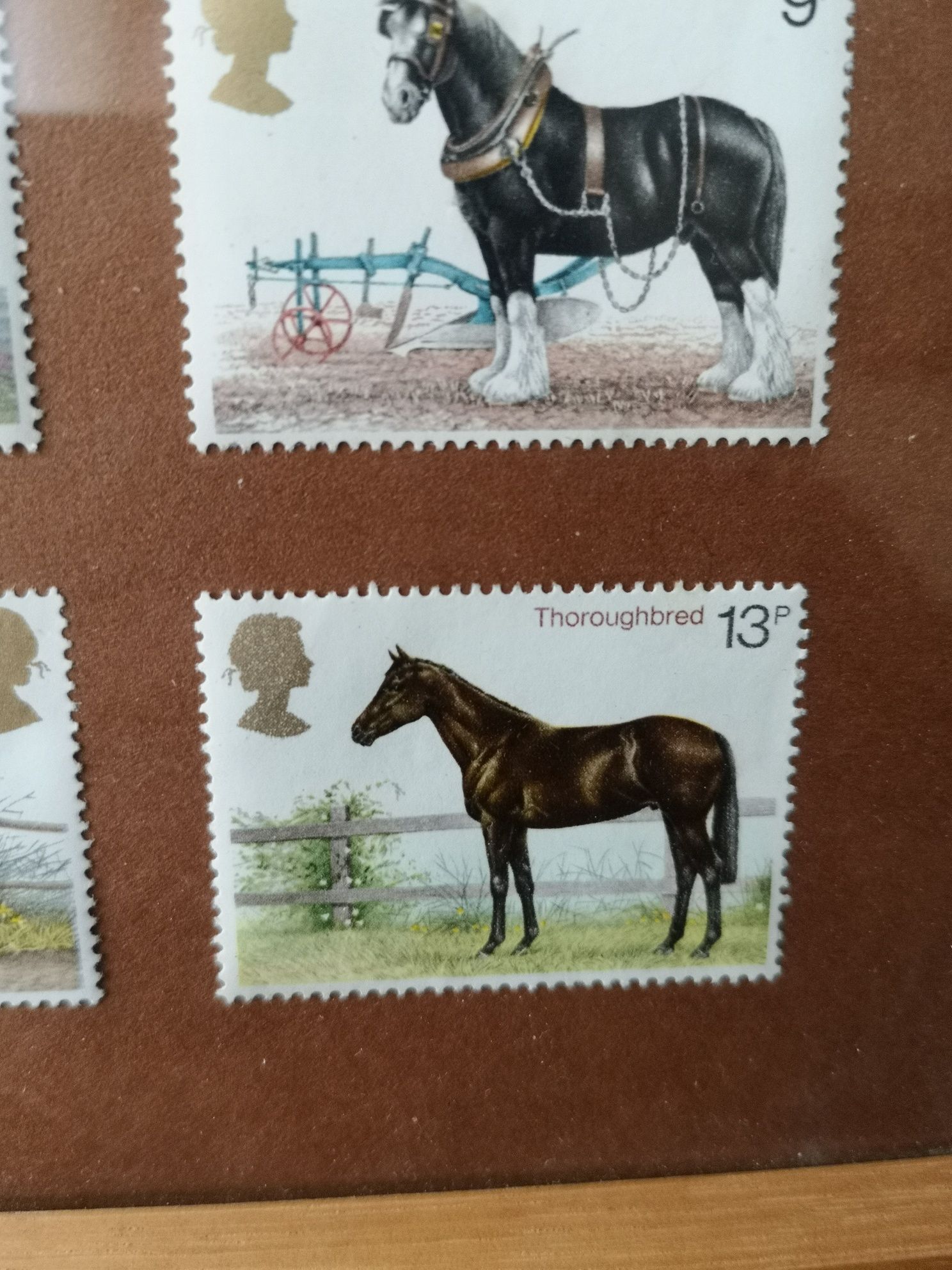 Zestaw znaczków pocztowych brytyjskich  konie 1978