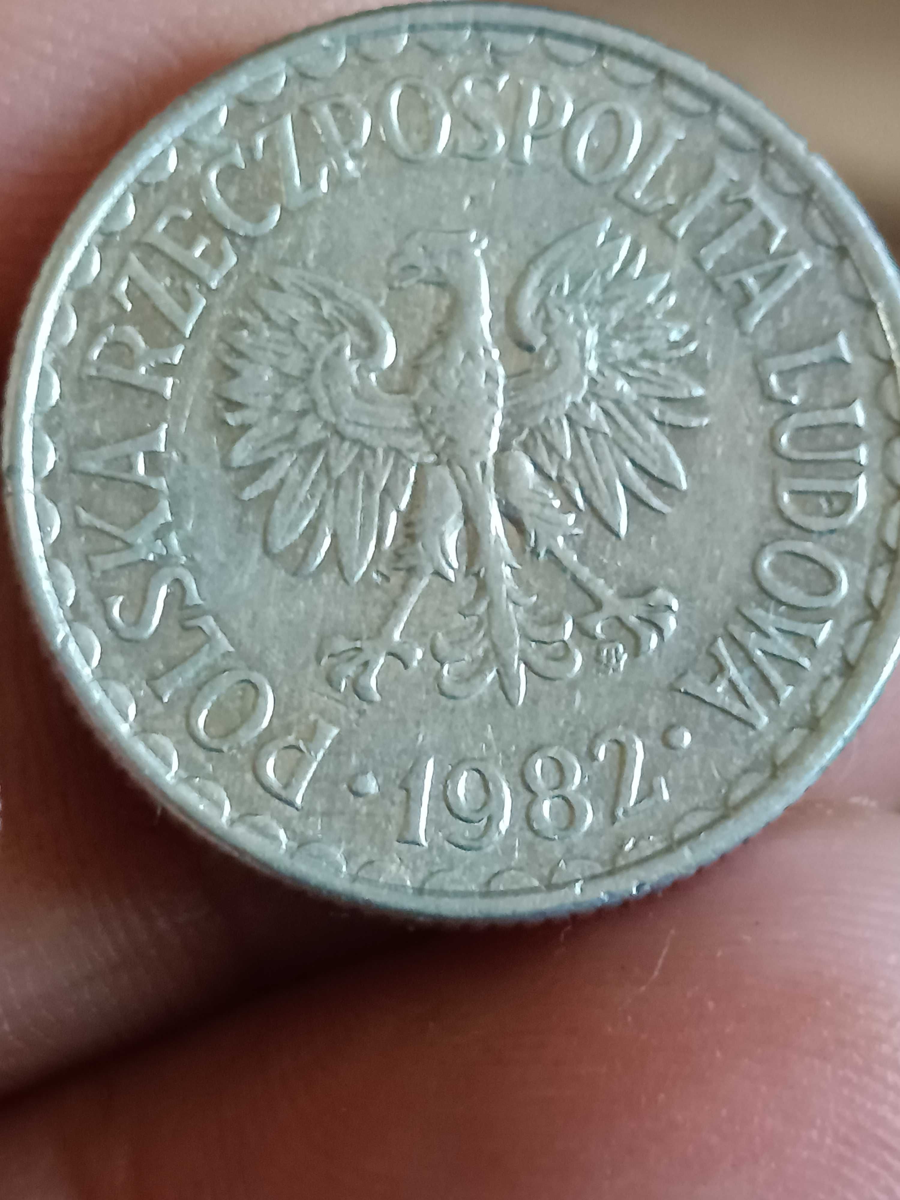 Sprzedam monetę 1 zloty 1982 rok wąska data