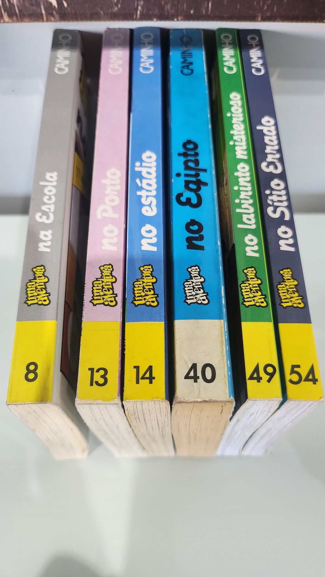 Uma aventura. (Livros juvenis)