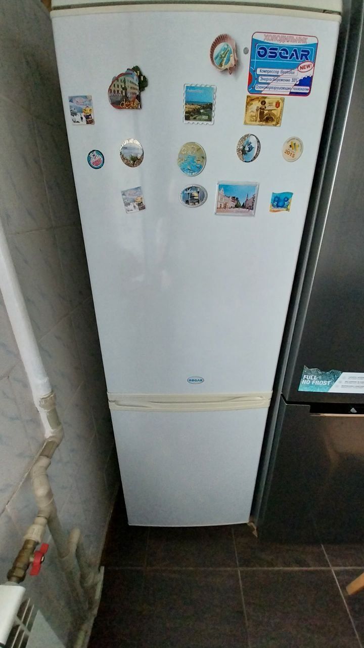 Холодильник який розмовляє