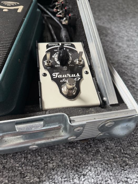 Efekt Taurus servo 2