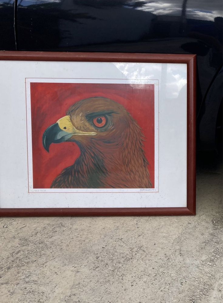 Quadro aguia vermelho