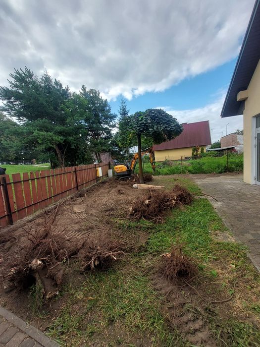 Usługi budowlane ogrodnicze, prace ziemne, wycinka drzew/krzaków rębak