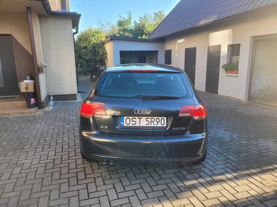 Audi a3 8p 2.0 TDI BMM