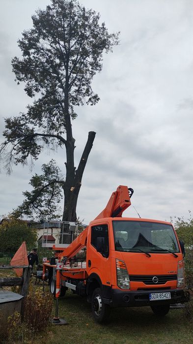 Wycinka drzew, podnośnik koszowy 21m, zwyżka