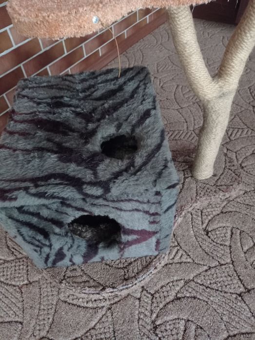 Кошкин дом с когтейкою