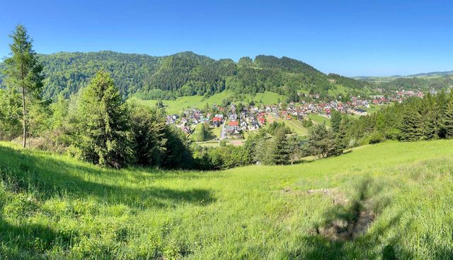 Działka rolna / rekreacyjna, Krościenko nad Dunajcem, Pieniny, 4082 m2