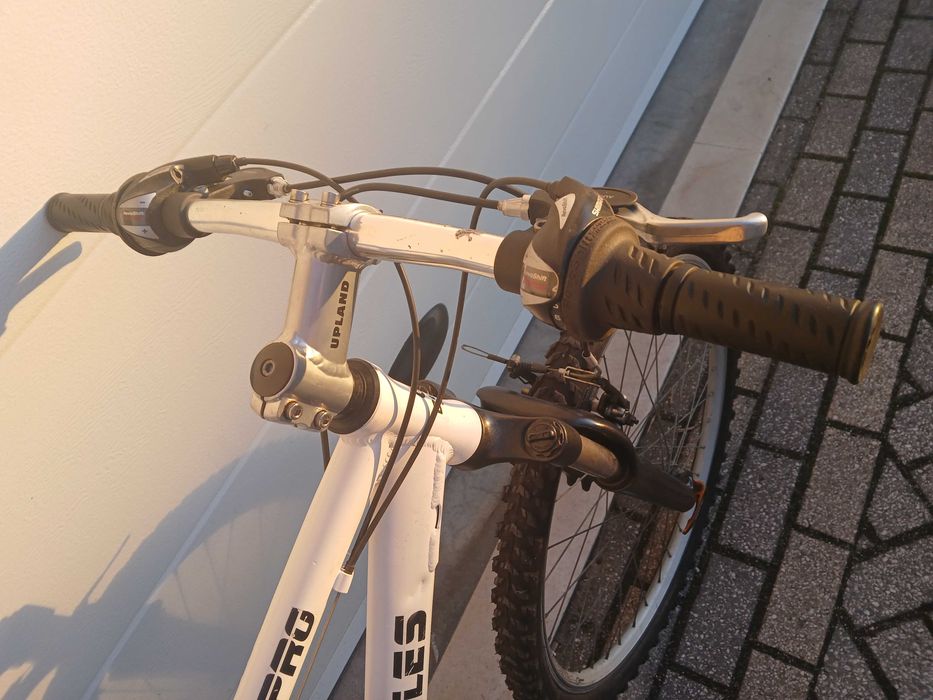 Bicicleta de alumínio BERG com amortecedores