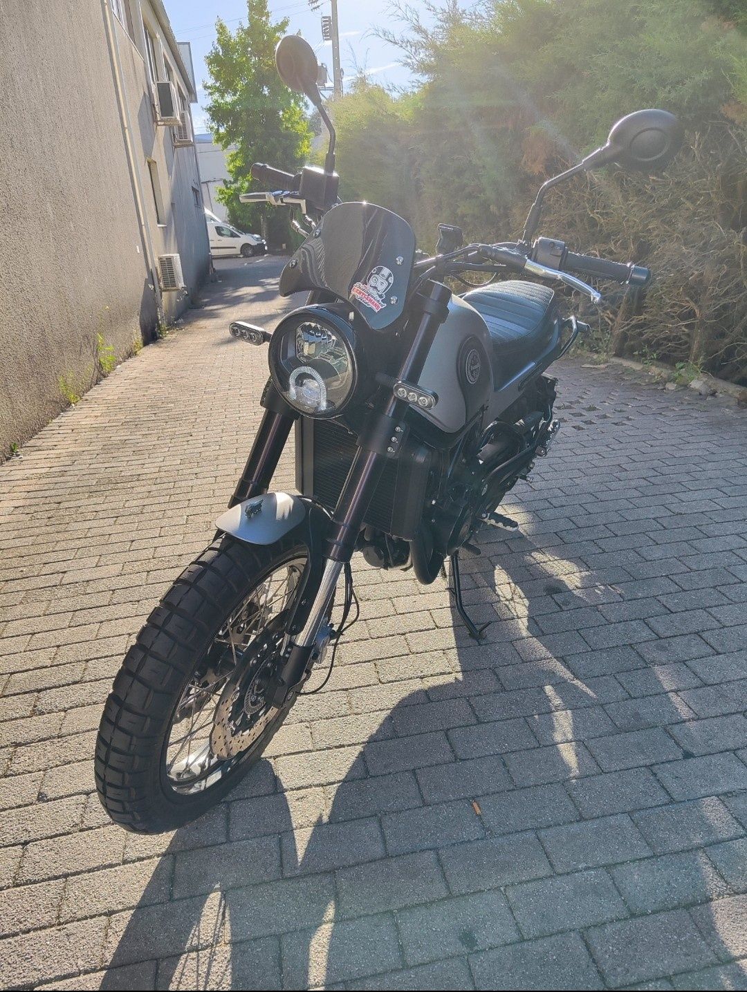 Benelli leoncino 500 trail 2019